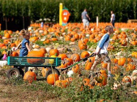 The Magic of October: Celebrating Halloween Around the World